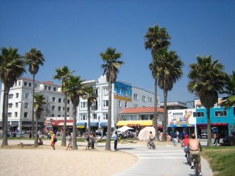 Beach_bikepath_in_the_Venice_Beach_park,_California